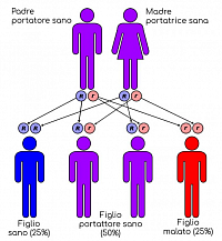 talassemia malattia genetica ereditaria