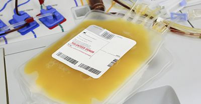 donazione di plasma