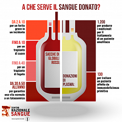 infografica Centro Nazionale Sangue