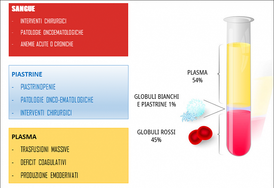 composizione del sangue