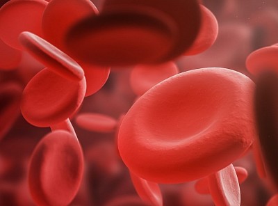 Red blood cell