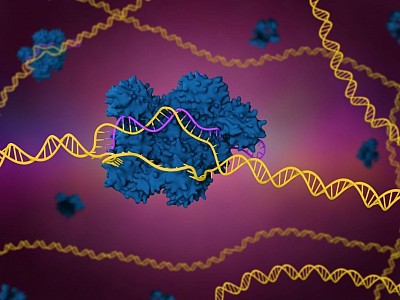 Terapia gene editing